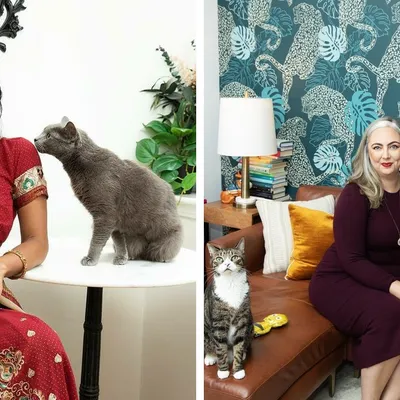 پروژه عکاسی «دختران و گربه‌هایشان»: نفی کلیشه‌های «زن گربه‌دوست دیوانه»