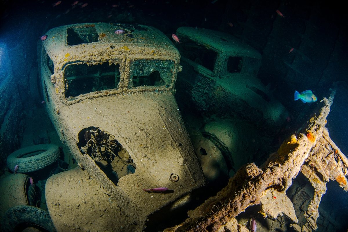 کشتی غرق شده SS Thistlegorm؛ موزه‌ای زیر آب مملو از حیات دریایی