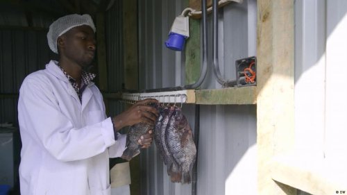 مزرعه عمودی خورشیدی؛ راهکار نوین آبزی‌پروری در کنیا