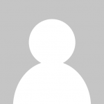 دنیای شگفت‌انگیز گربه‌ها: تصاویری از لحظات بامزه و رفتارهای غیرمنتظره