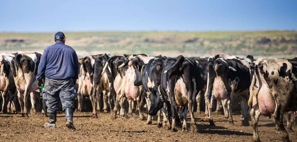 چالش‌های الزام E-Verify برای کسب‌وکارها در ایالت‌های جمهوری‌خواه