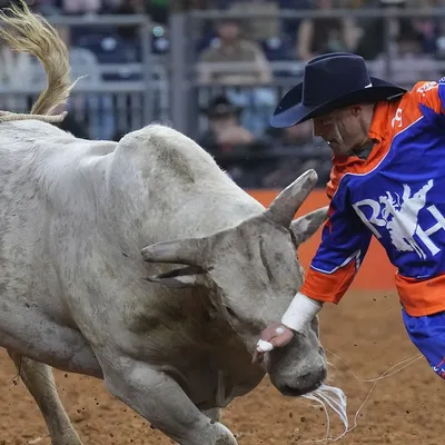 Your Comprehensive Guide to the 2026 Houston Livestock Show and Rodeo