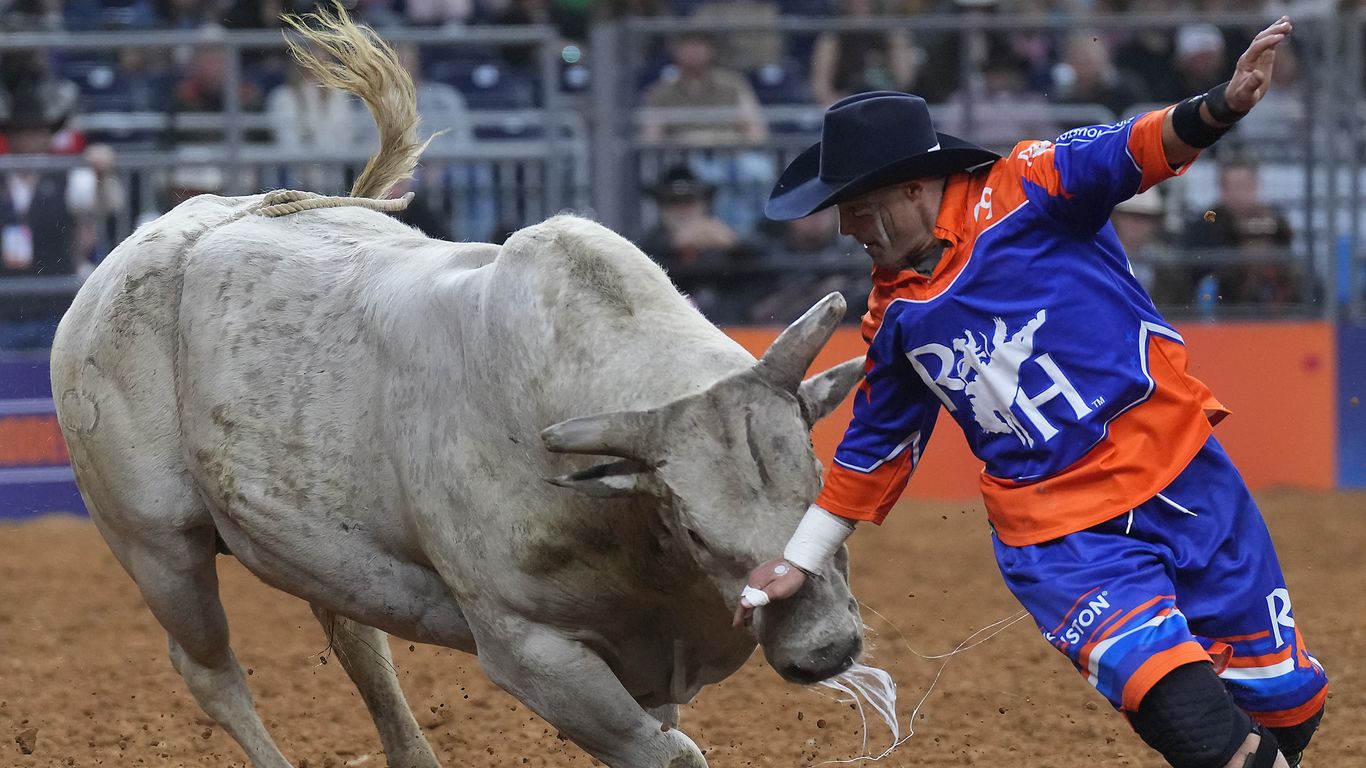 راهنمای جامع نمایشگاه دام و شترمرغ هیوستون ۲۰۲۶: رویدادهای کلیدی و نکات مهم