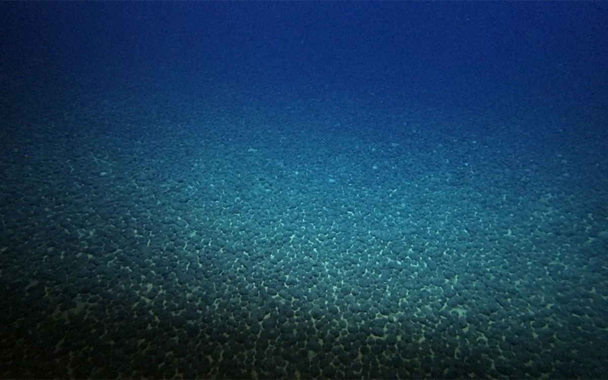 کشف فلز نایاب در اعماق اقیانوس؛ گامی نو در جهت انرژی پاک