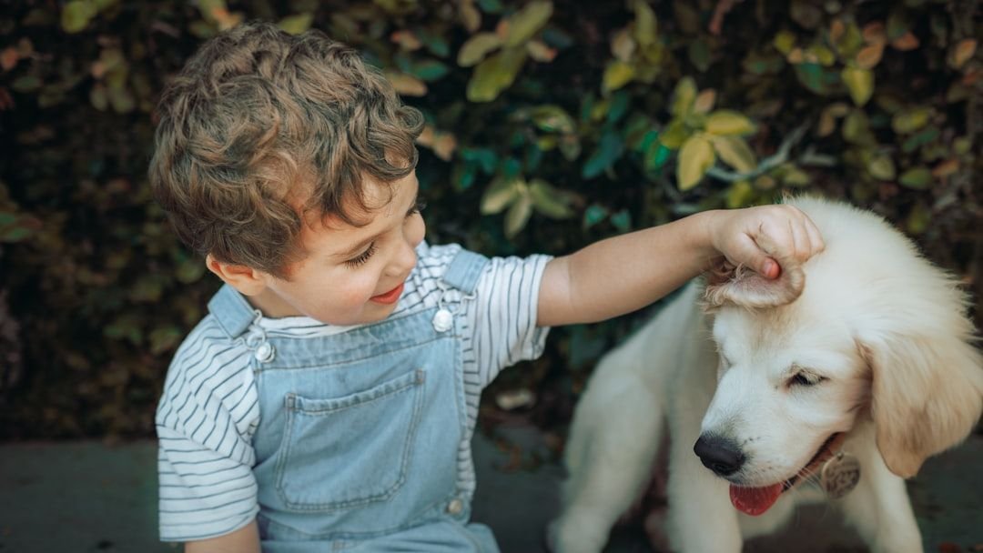 همدلی شگفت‌انگیز سگ‌ها با صاحبان حساس: درک عمیق‌تر ارتباط انسان و حیوان