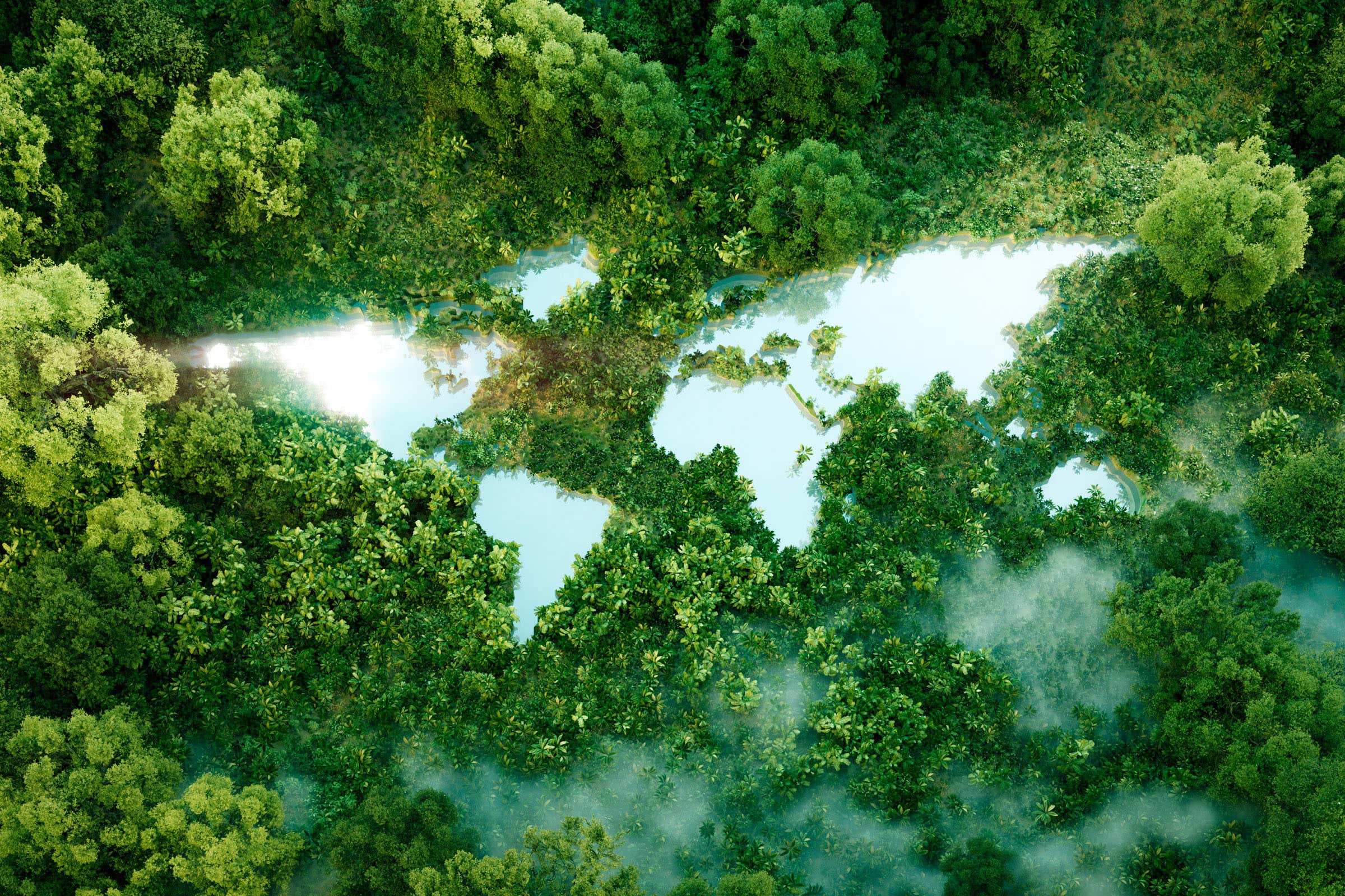 راز فرود گربه‌ها بر روی پا: انعطاف‌پذیری ستون فقرات کلیدی است