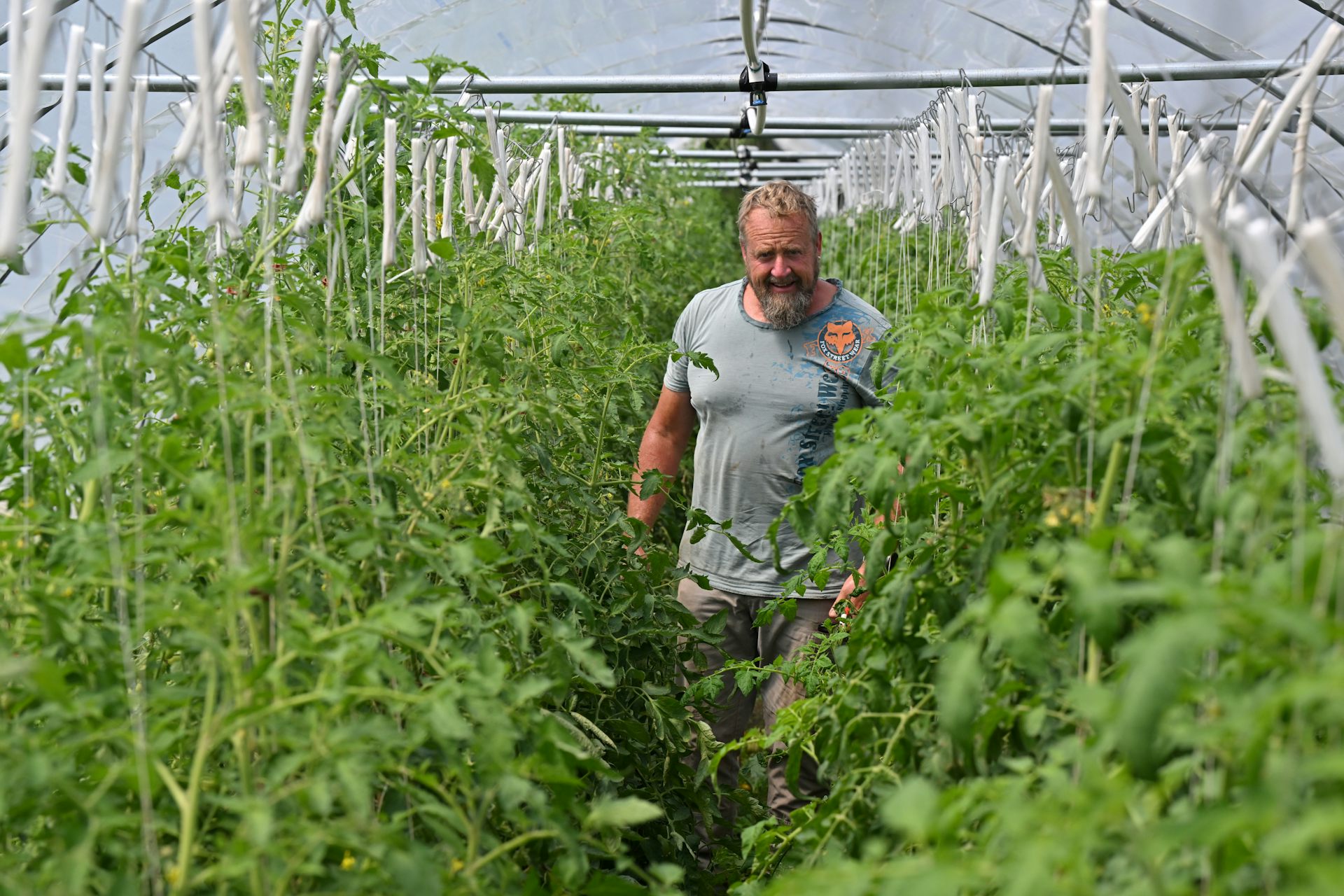 کشت حفاظتی: راهکاری نوین برای مقابله با تغییرات اقلیمی در کشاورزی استرالیا