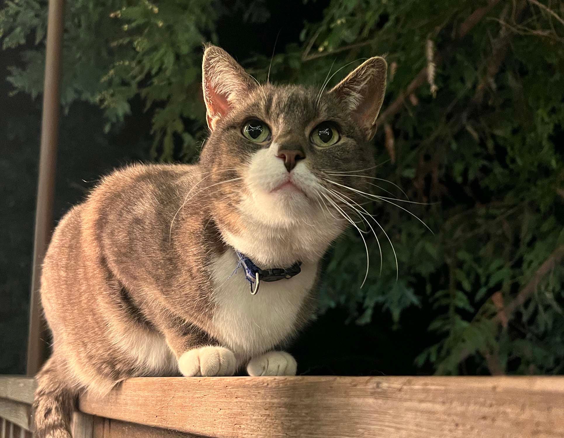 مرسدس-ای‌ام‌جی S63 E-Performance: سفری جاده‌ای در کالیفرنیا با نماد لوکس و هیبریدی