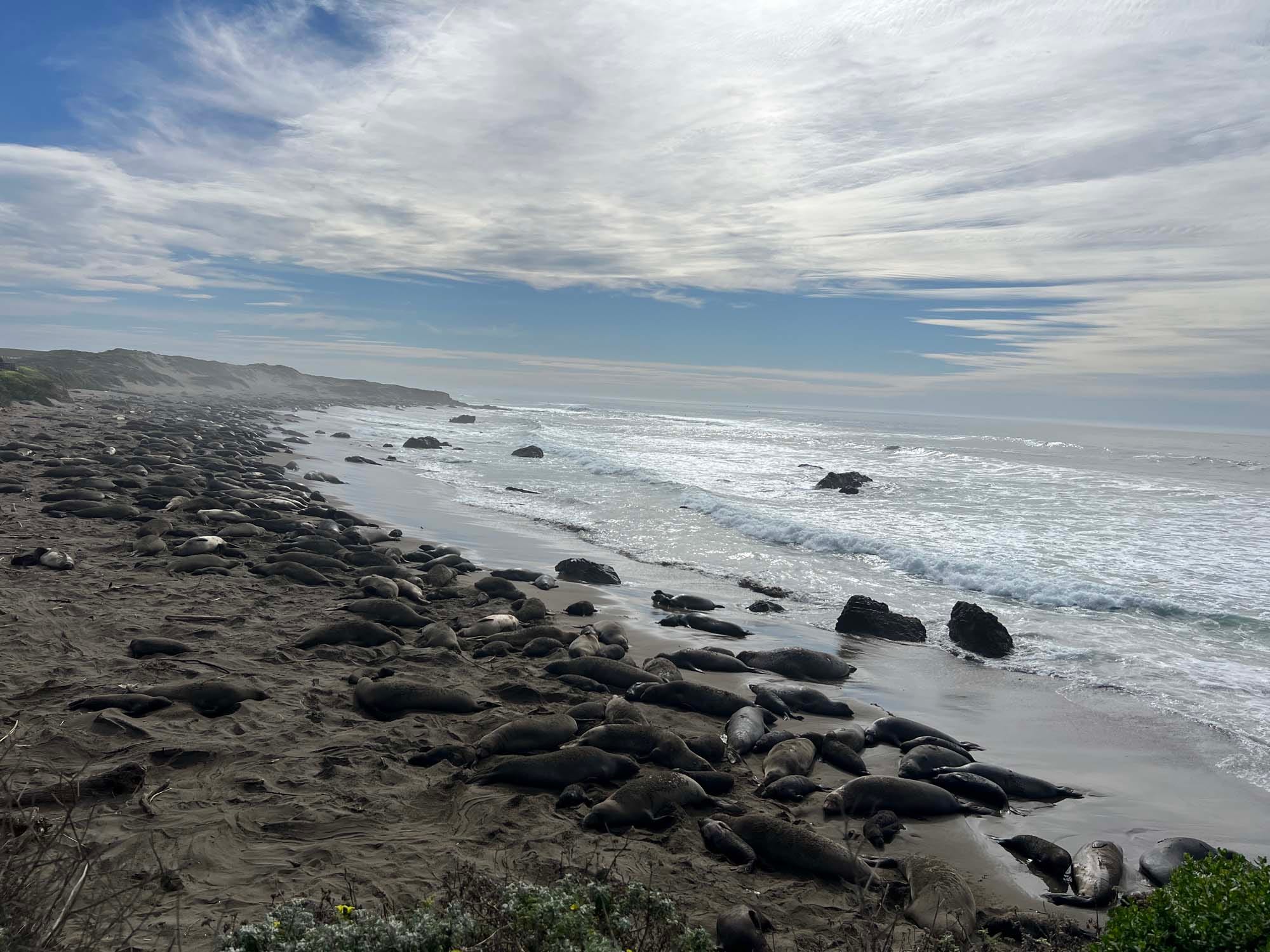 مرسدس-ای‌ام‌جی S63 E-Performance: سفری جاده‌ای در کالیفرنیا با نماد لوکس و هیبریدی