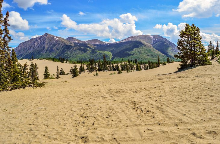 صحرای کارکروس: کوچکترین «صحرای» جهان در کانادا؛ افسانه یا واقعیت؟