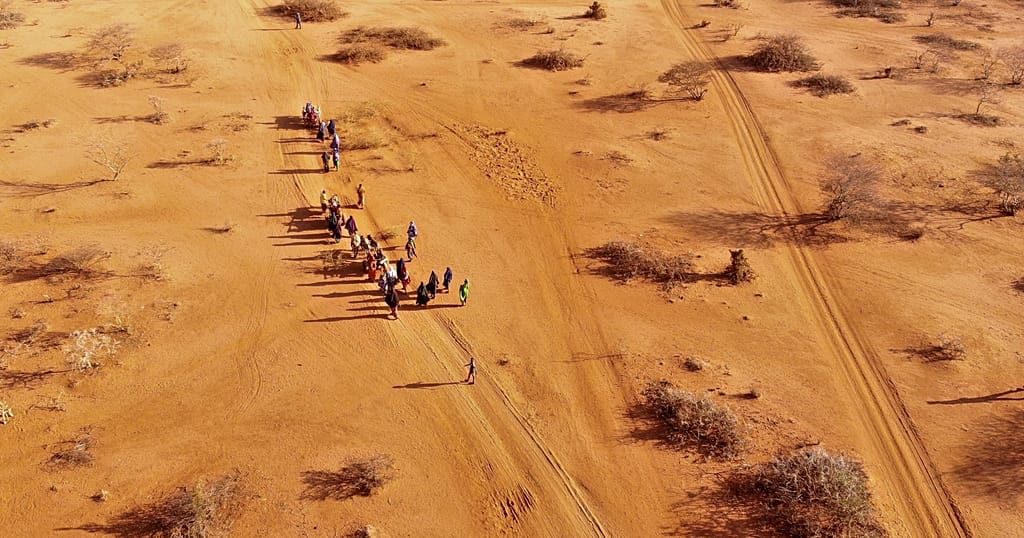 سومالی در آستانه بحران انسانی؛ ۶.۵ میلیون نفر در معرض گرسنگی حاد