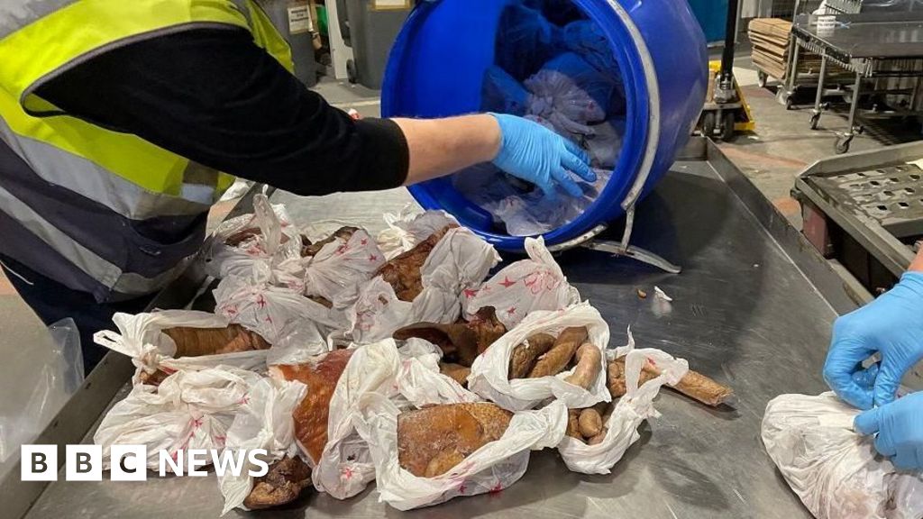 افزایش خطر شیوع بیماری‌ها به دلیل نقص در بازرسی محموله‌های وارداتی