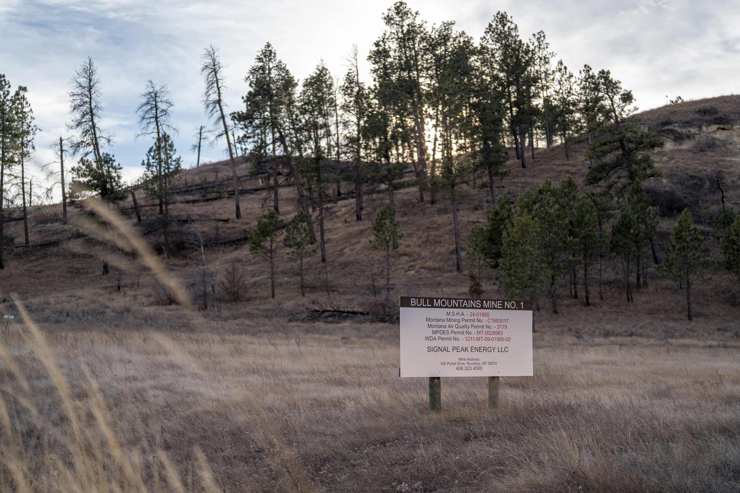 دعوای حقوقی بر سر توسعه معدن زغال‌سنگ در مونتانا: نگرانی‌های زیست‌محیطی در برابر منافع اقتصادی