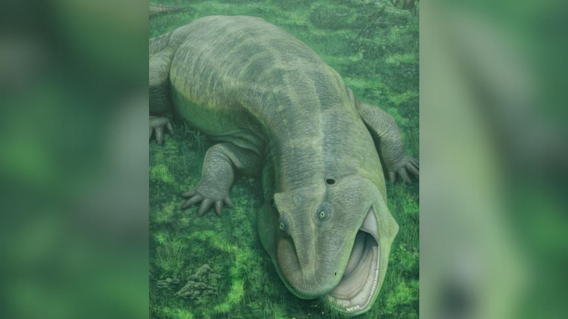 کشف «تنی‌کا آم‌نیکولا»: موجود آبزی عجیب با دندان‌های جانبی از دوران پیشاتاریخ