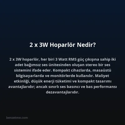 2 x 3W Hoparlör Nedir?