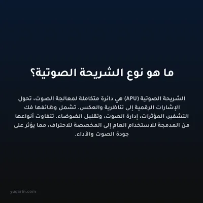 ما هو نوع الشريحة الصوتية؟