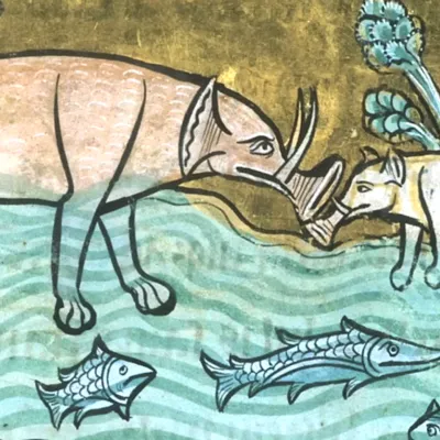 Medieval Marvels: Unpacking the Curious World of Chimera Depictions in Ancient Manuscripts