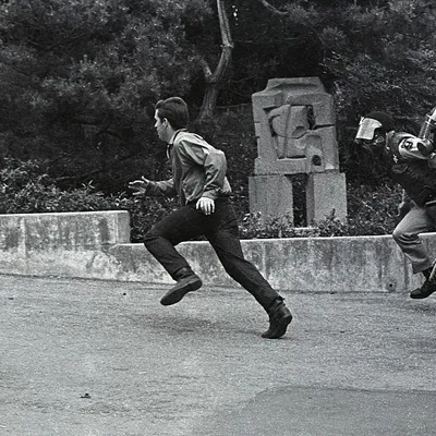Microlooting Debate: Is Petty Theft a Political Protest or Just Stealing?