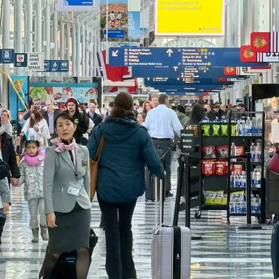 US Customs Seizes Monkey Carcass and Prohibited Beef at Chicago O'Hare