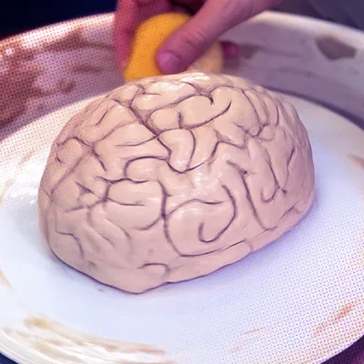 New Neuroplasticity Mechanism Discovered: Brain Rewires After Single Experience