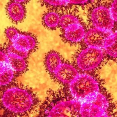 New Virus-Killing Method Emerges, Bypassing Traditional Sanitization
