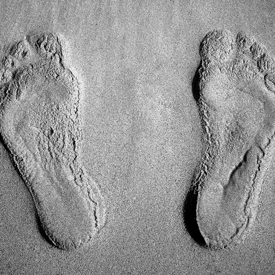 Ancient Human Footprints in Saudi Arabia Shed Light on Early Migrations