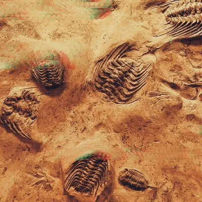 الذكاء الاصطناعي المتطور: هل ندخل عصراً جديداً من التطور؟