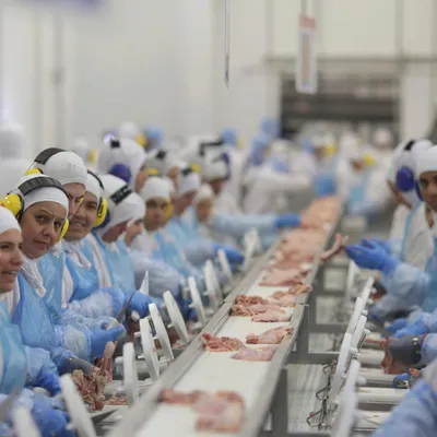 Chapeco: Brazil's Meat Production Hub Poised for Growth Amidst Trade Agreements