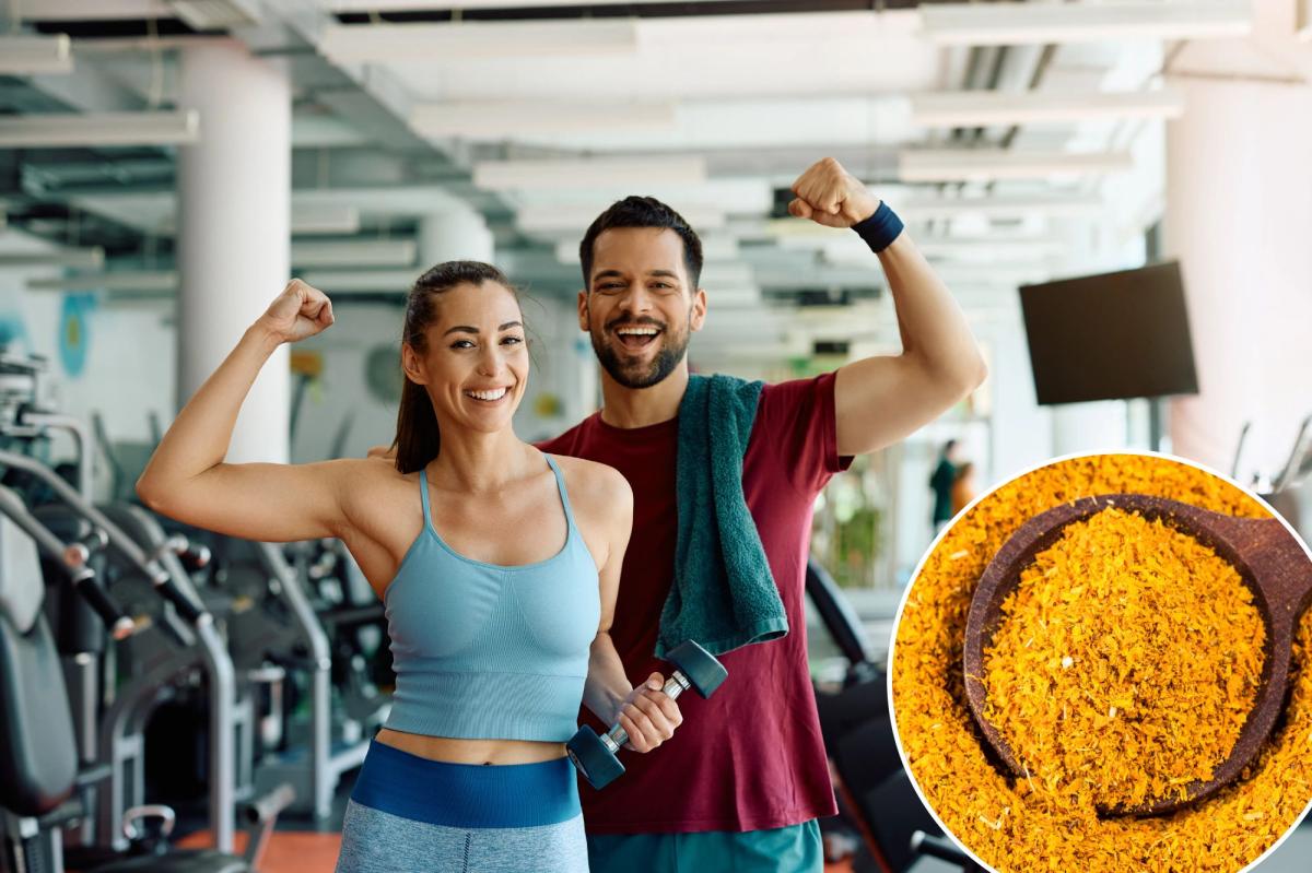 گل همیشه بهار: منبع جدید پروتئین گیاهی با فواید شگفت‌انگیز