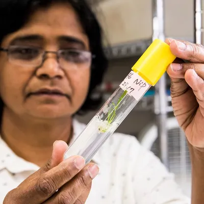Five Scientific Breakthroughs Poised to Dramatically Extend Human Lifespan
