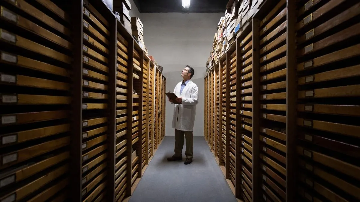 Unearthing History: Museum Collections Reveal Unexpected Scientific Discoveries