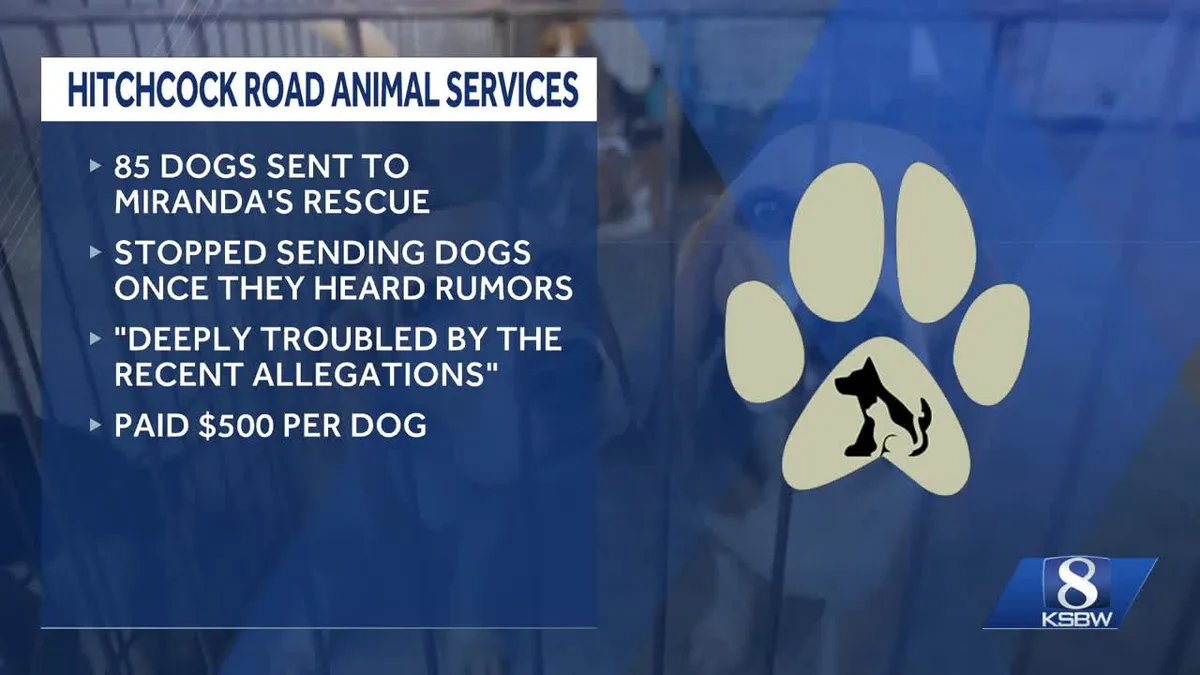 Animal Rescue Under Scrutiny Amid Allegations of 'Mass Grave' Discovery
