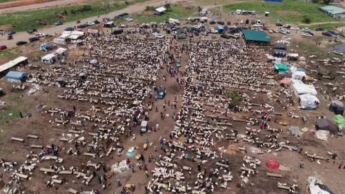 Eid al-Adha Celebrations Observed in Sierra Leone with Drone Footage Capturing Community Gatherings