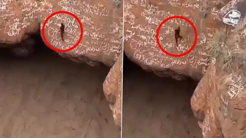 واکنش جدی به انتشار اخبار جعلی درباره دختر رئیس حزب ساماجوادی؛ واکنش‌ها و جزئیات