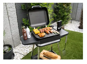 عکس گریل تماسی و پانینی‌ساز 64749
