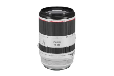 مقایسه کانن RF 70-200mm F2.8L IS USM با سیگما 105mm F2.8 DG DN Macro