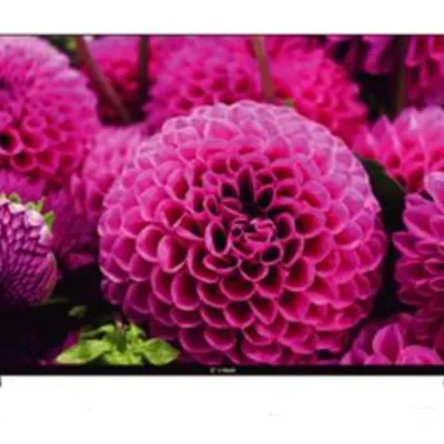 اسنوا SA625 مدل 43 اینچ