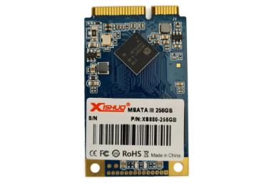 مقایسه شیشو XS880 mSATA ظرفیت 256 گیگابایت با ای دیتا XPG GAMMIX S50 Lite NVMe M.2 ظرفیت 512 گیگابایت