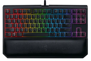 عکس ریزر BlackWidow Tournament Edition Chroma V2