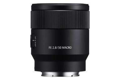 مقایسه سونی FE 50mm F2.8 Macro با کانن EF 100mm f/2.8L Macro IS USM