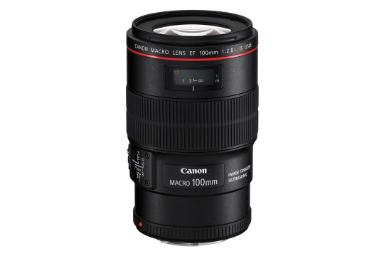 مقایسه کانن EF 100mm f/2.8 Macro USM با سیگما 105mm F2.8 DG DN Macro