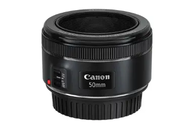 مقایسه کانن EF 50mm f/1.8 STM با کانن EF 100mm f/2.8L Macro IS USM