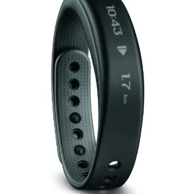 گارمین vivosmart