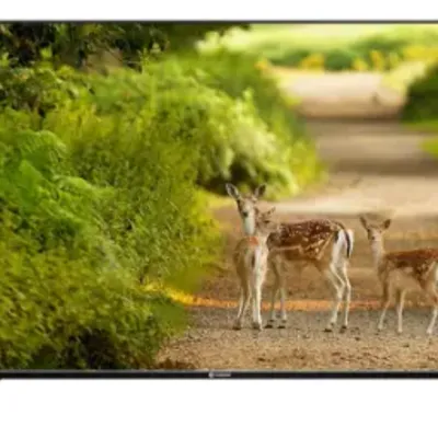 اسنوا 65SK710UD مدل 65 اینچ