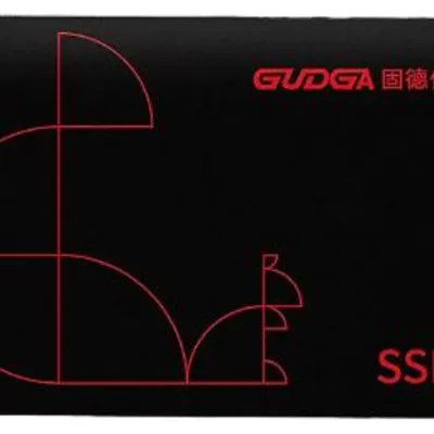 گودگا SATA 2.5 Inch ظرفیت 256 گیگابایت