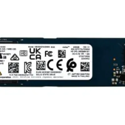 کیوکسیا BG5 NVMe M.2 ظرفیت 256 گیگابایت