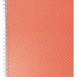 دفتر یادداشت شطرنجی Esselte Colour'Breeze A5