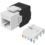 سوکت کیستون بدون ابزار Equip Cat.6A بدون شیلد