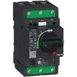 اشنایدر الکتریک GV4P رله ایمنی