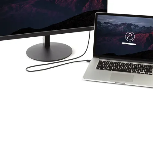 عکس کابل StarTech.com 6 فوت (2 متر) Mini DisplayPort به DisplayPort 1.2 - کابل آداپتور Mini DisplayPort به DisplayPort 4K x 2K UHD - کابل Mini DP به DP برای مانیتور - کابل مبدل mDP به DP